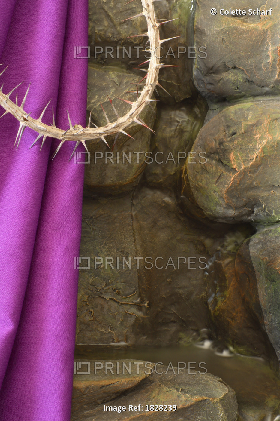 Purple Cloth And Crown Of Thorns