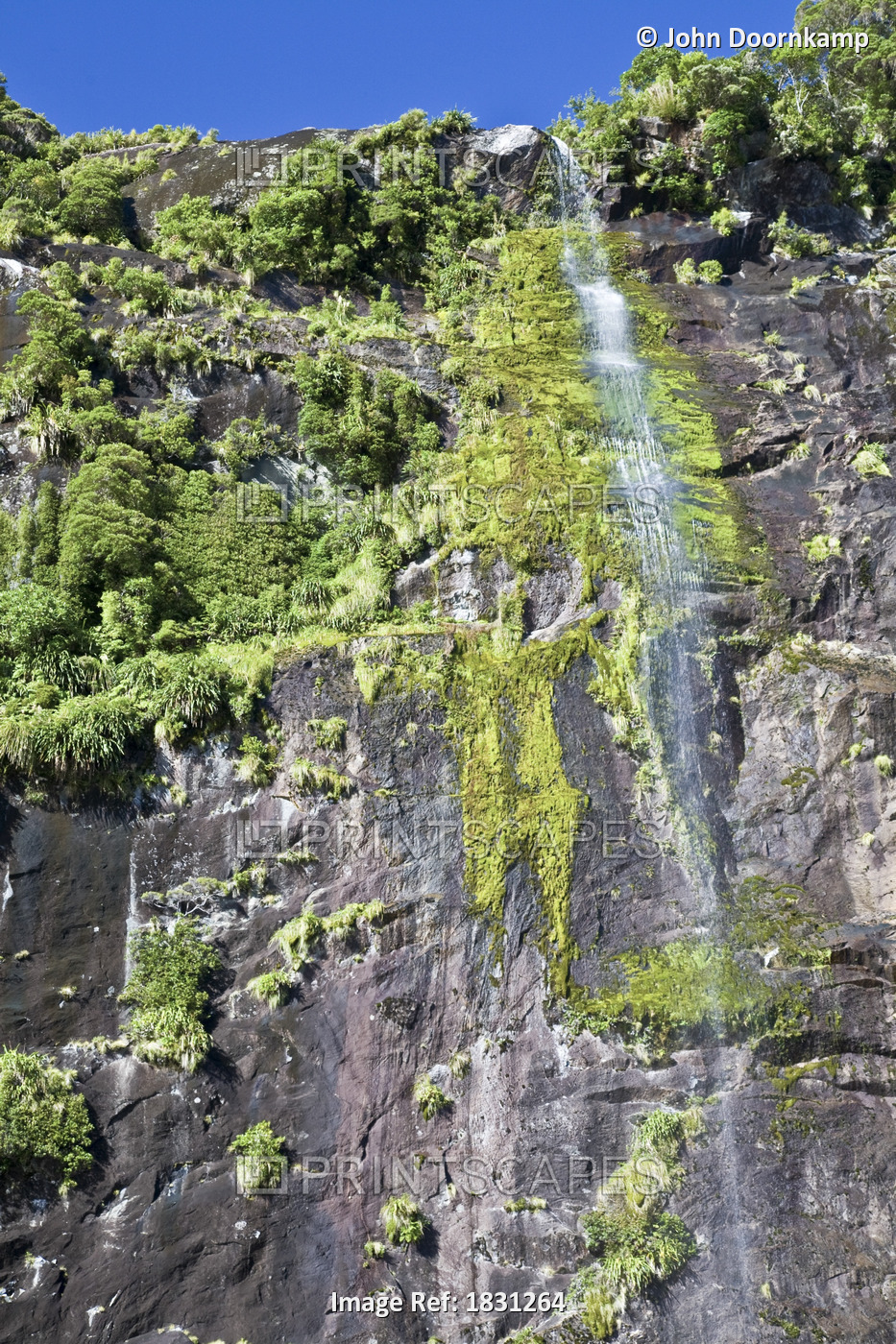 WATERFALL IN MILFORD SOUND, NEW ZEALAND 3