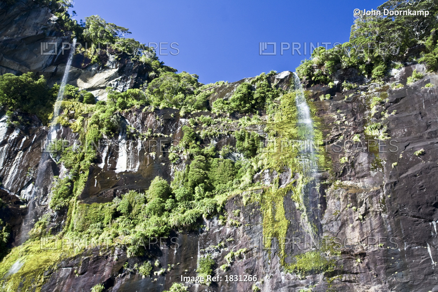WATERFALL IN MILFORD SOUND, NEW ZEALAND 1