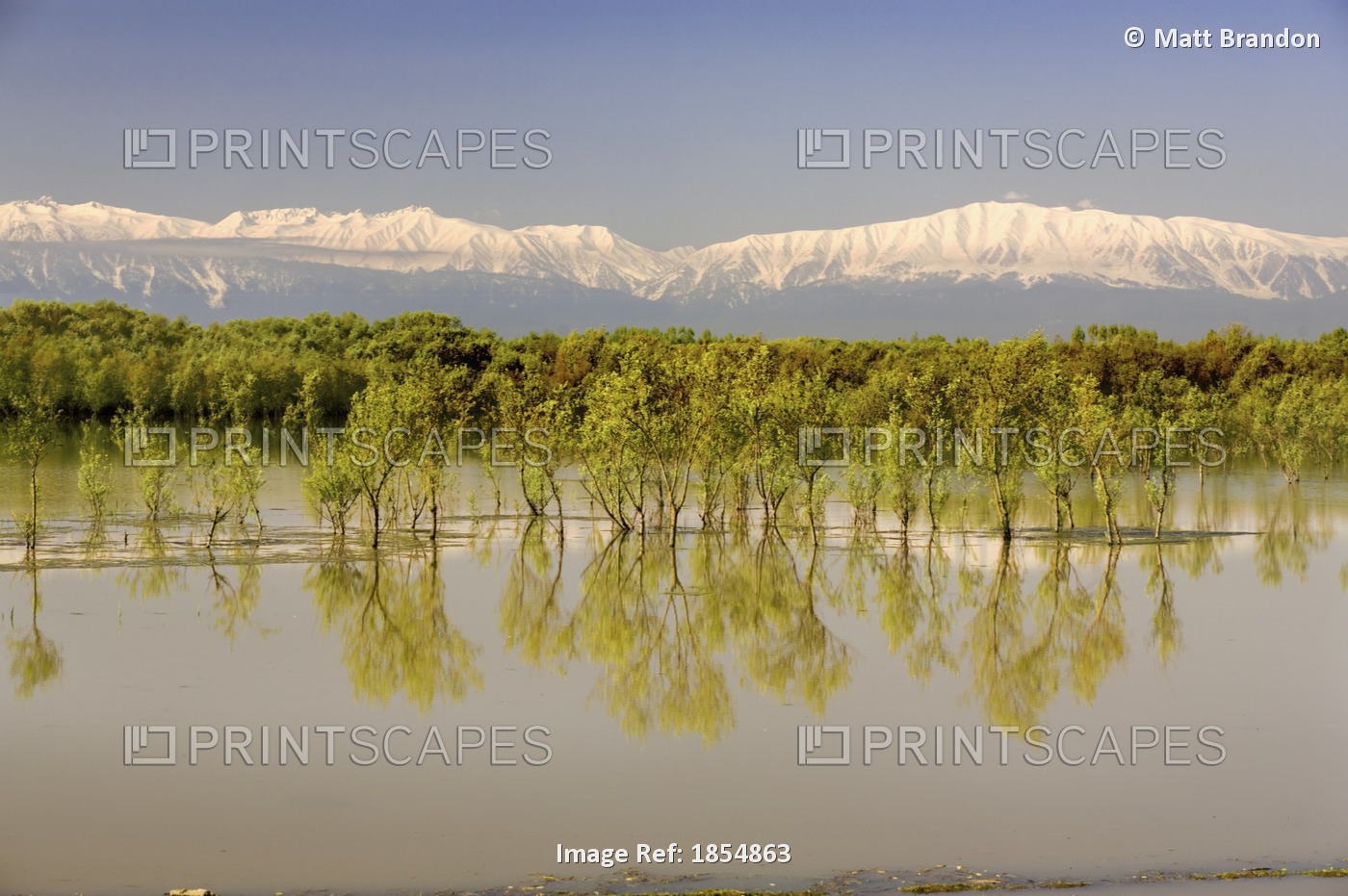 Trees Along Shoreline With Mountains In The Background