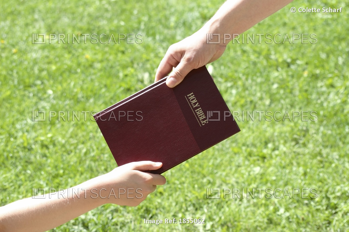 Sharing The Bible