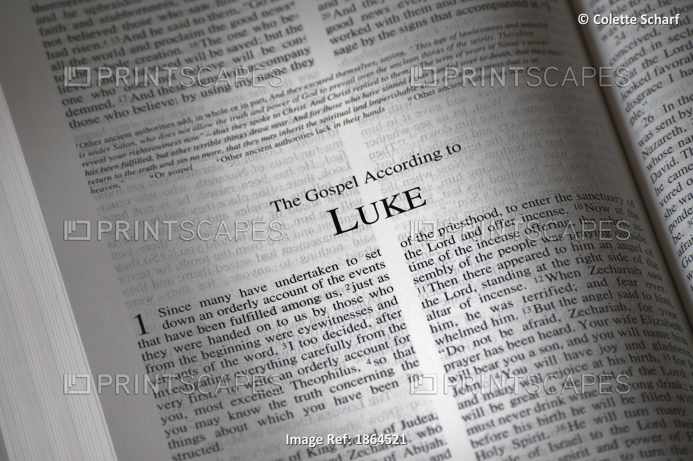 The Bible Opened To The Book Of Luke