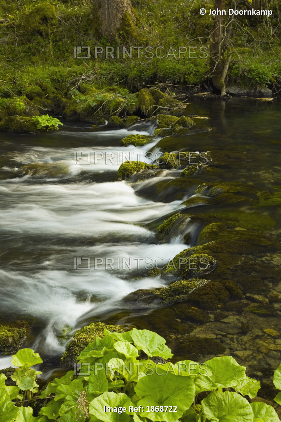 Derbyshire, England; River Wye In Peak District National Park