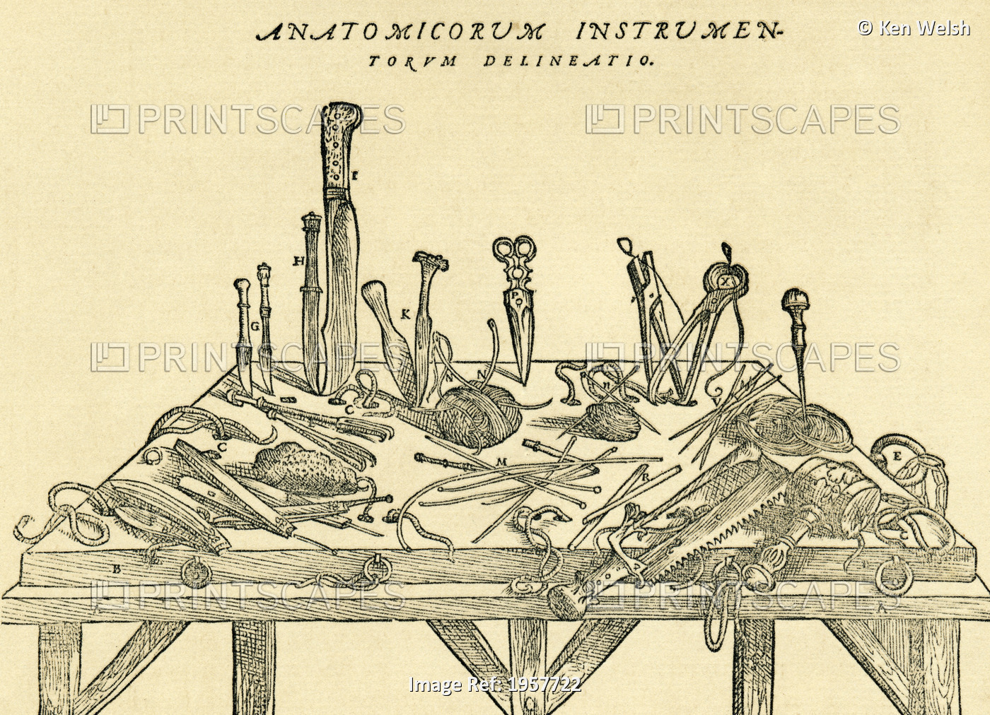 16Th Century Surgical Instruments, From De Humani Corporis Fabrica Libri Septem ...
