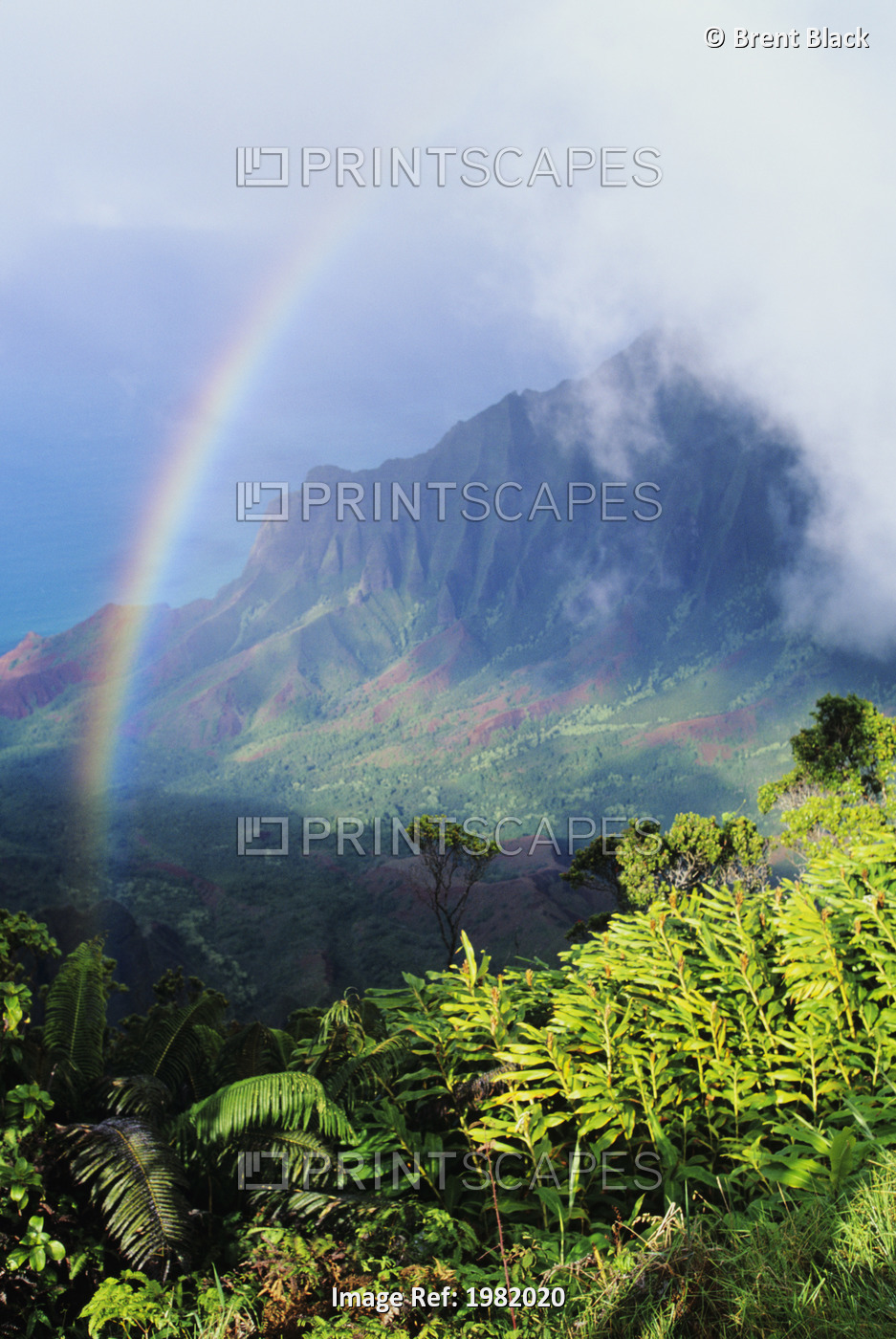 USA, Hawaii, Kauai, Kalalau Valley viewpoint in Kokee State Park with rainbow; ...
