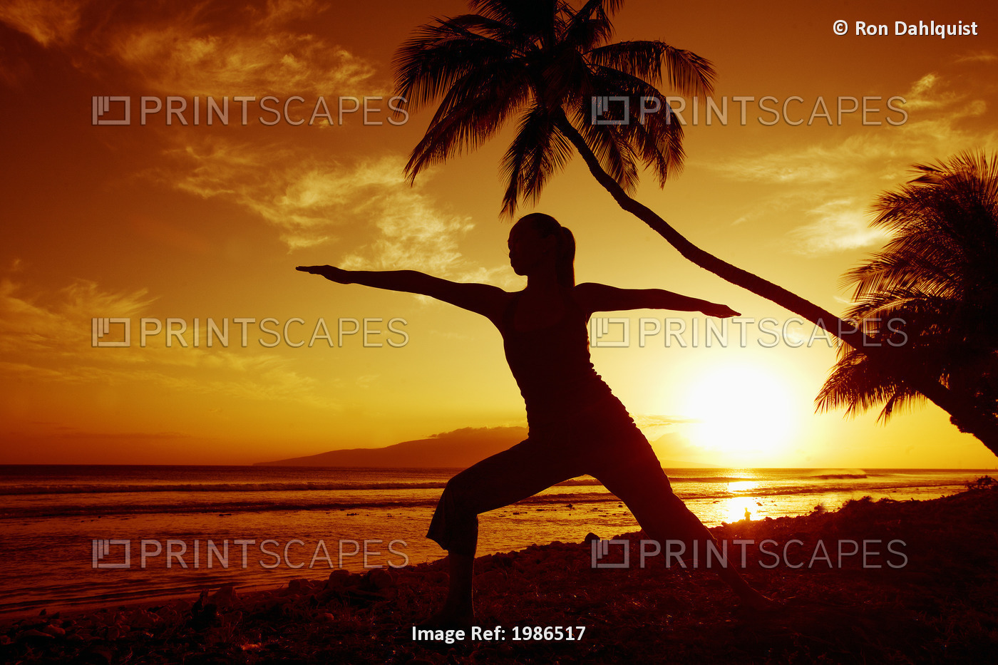 Hawaii, Maui, Olowalu, Woman Doing Yoga By The Ocean At Sunset Under Palm Tree.