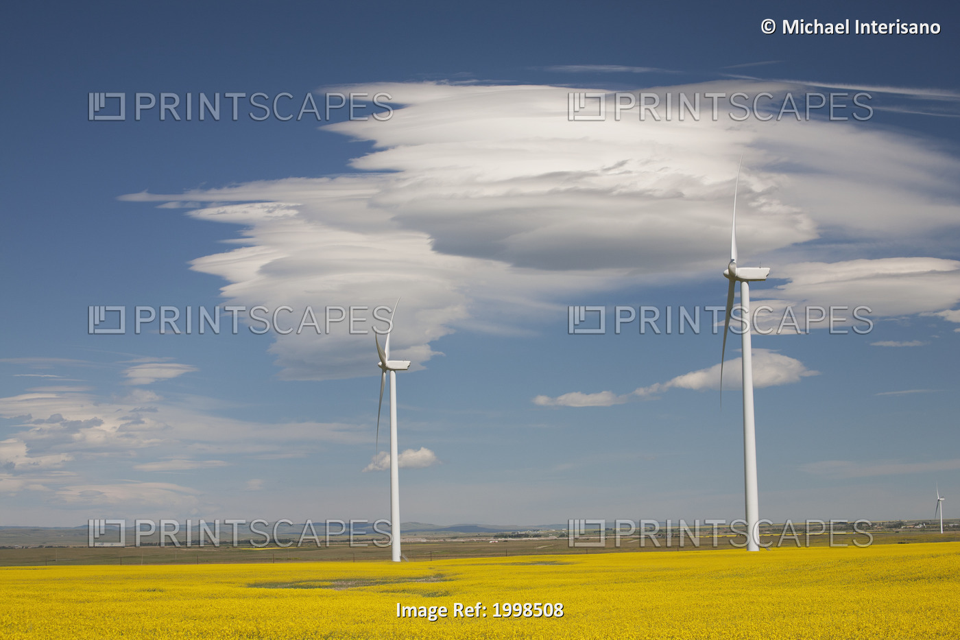 Dramatic Clouds With Blue Sky And Windmills In A Flowering Canola Field; ...