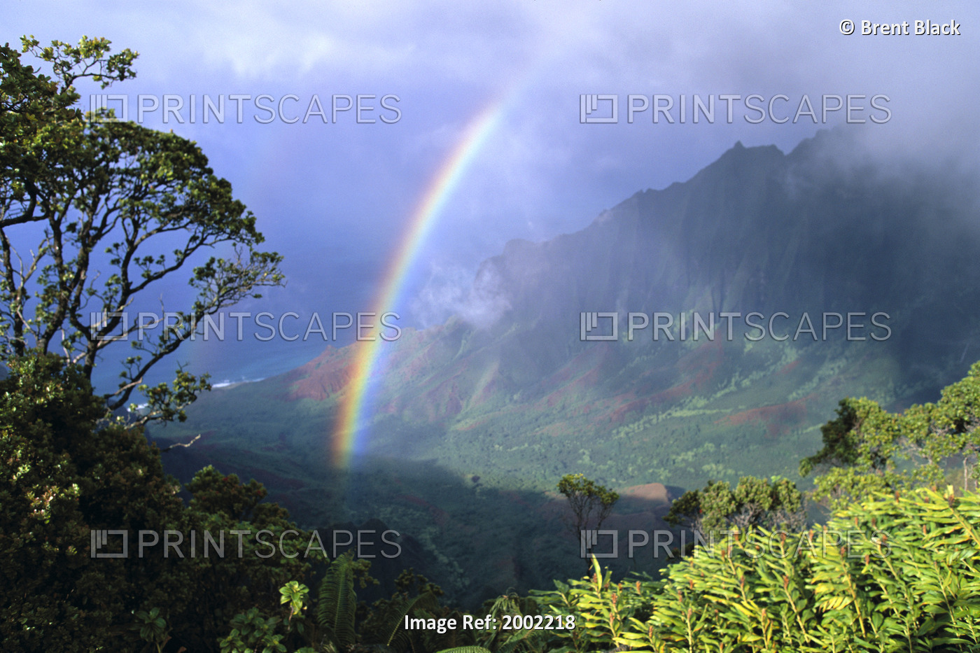 Hawaii, Kauai, Rainbow Over Kalalau Valley, Misty Clouds, Trees And Growth On ...
