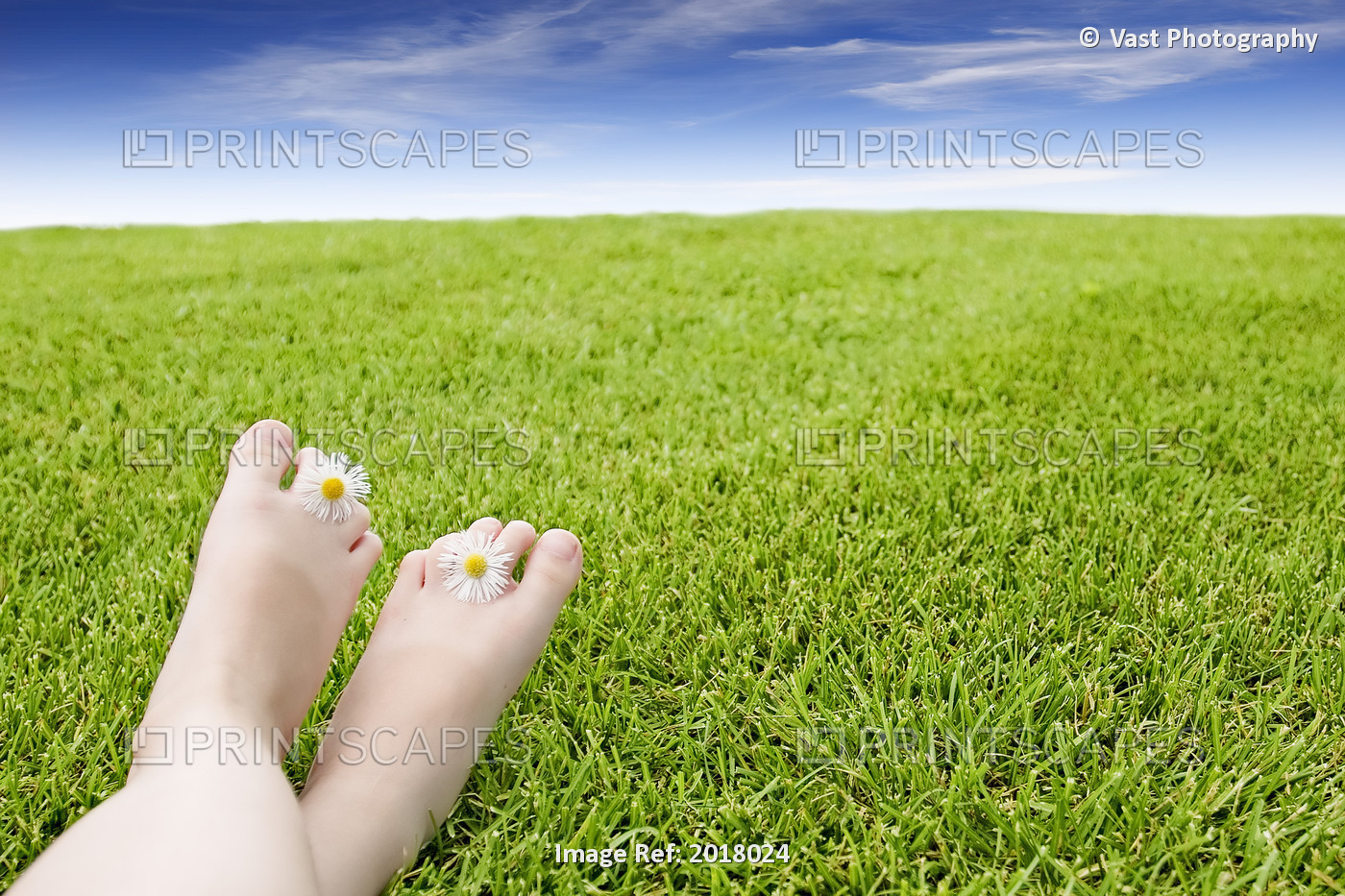 Girl's Feet On Grass With Flowers Between Her Toes.