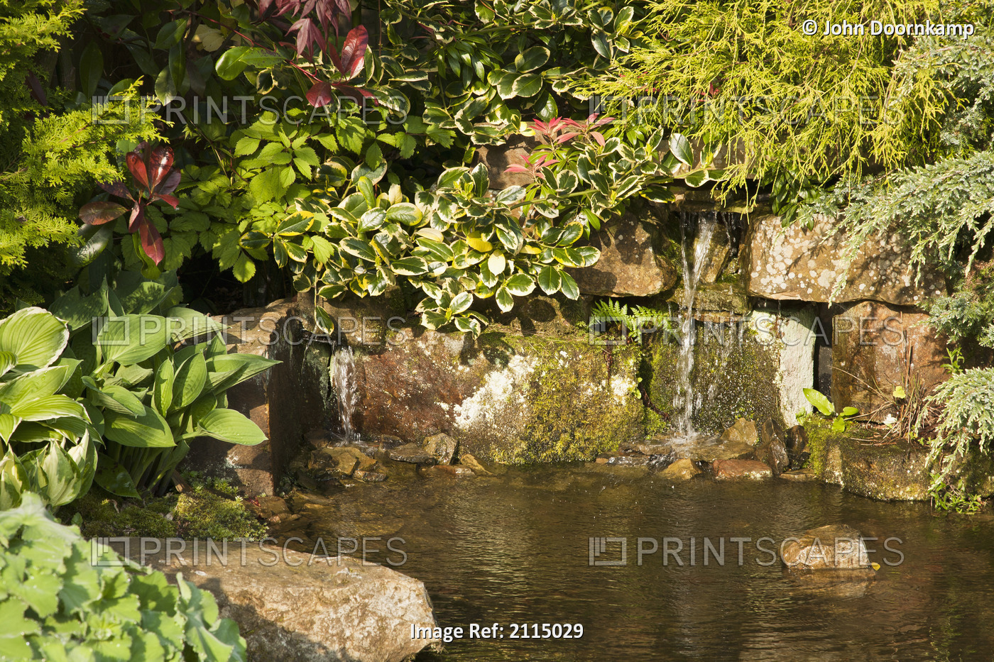 Ornamental rock garden with pond; England