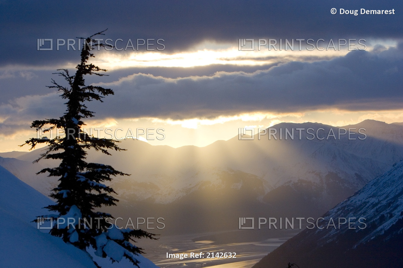 Sun Rays Shinning Through Clouds At Sunset Along Turnagain Arm W/ A Spruce Tree ...