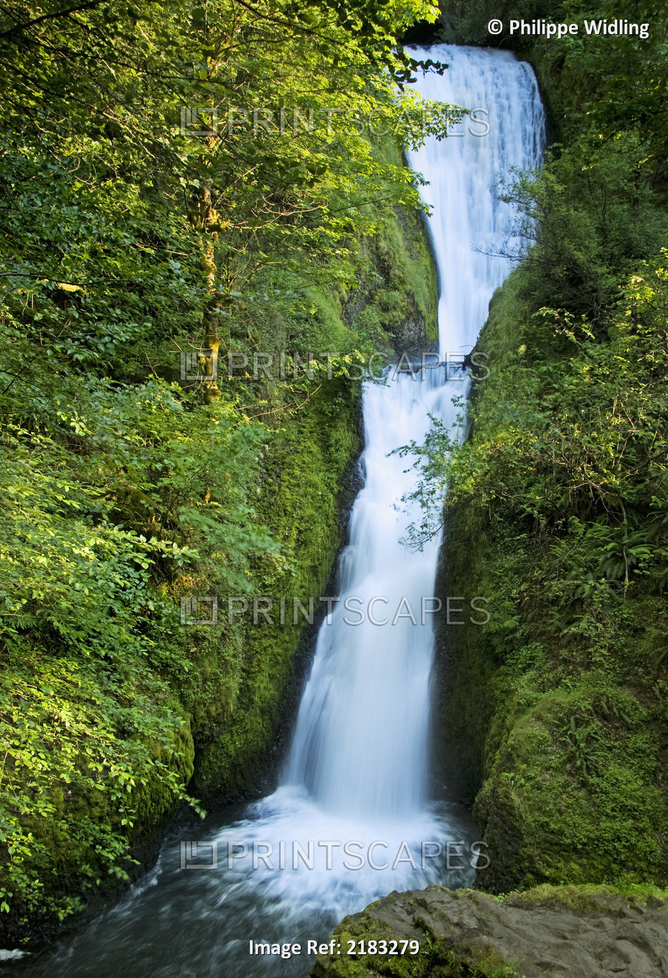 Waterfall;Oregon united states of america