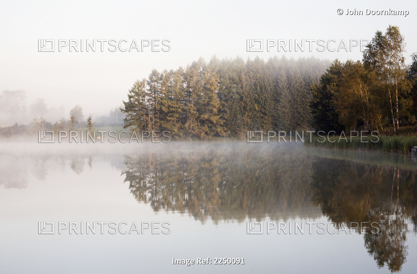 Mist over a tranquil lake; Moulin de Boiron, Gedinne, Belgium