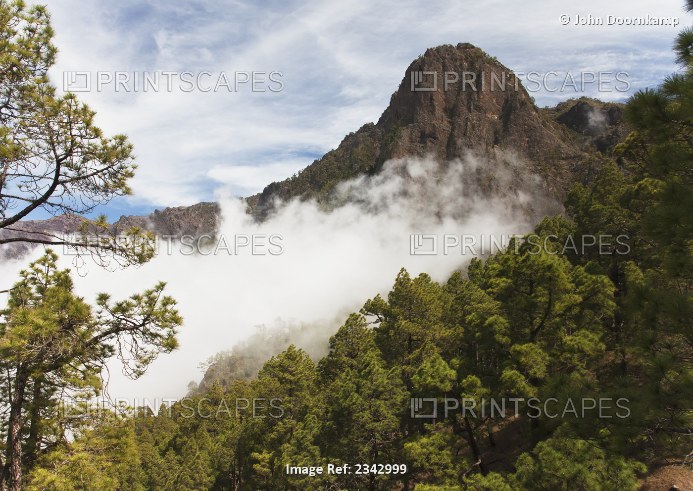 Forested slopes and low lying cloud at Caldera de Taburiente National Park; Canary Islands, Spain