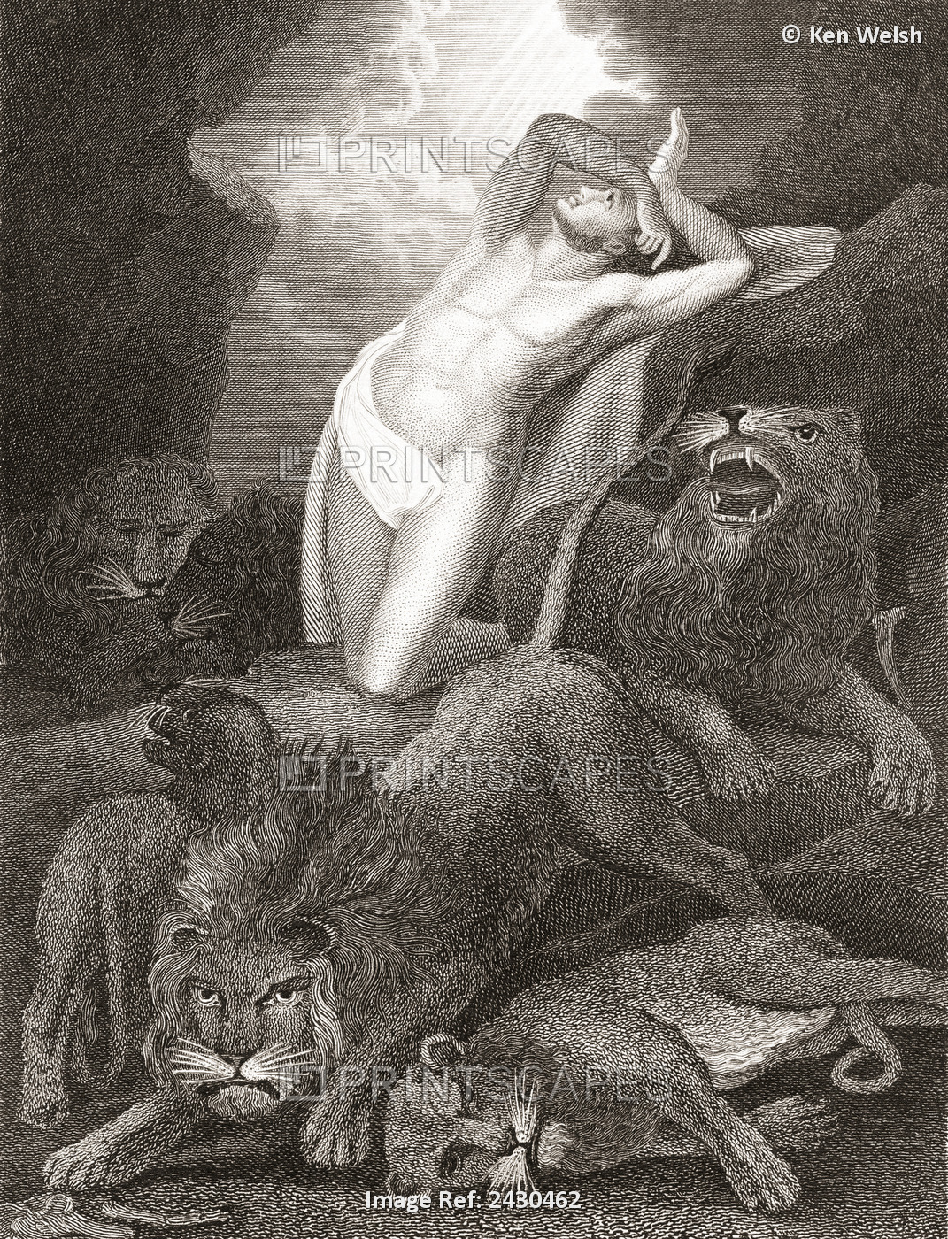 Daniel In The Lion's Den. From A 19th Century Print.