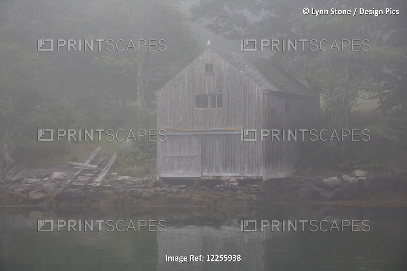 Boathouse In Fog; New Harbor, Maine, United States Of America