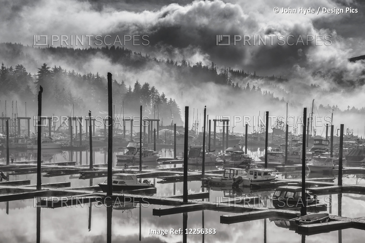 Black And White View Of Fog And Mist Lifting Over Auke Bay Harbor, Juneau, ...