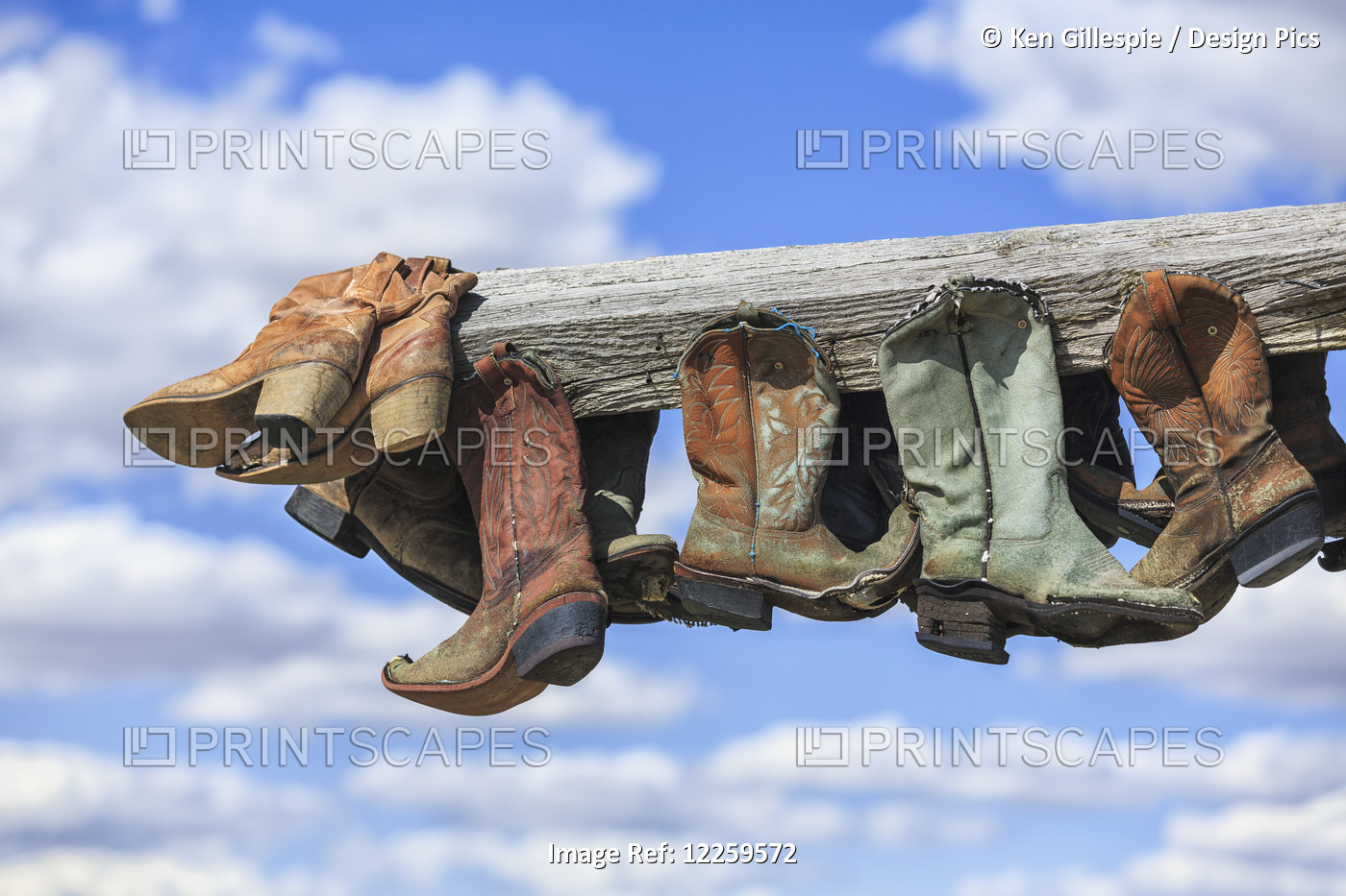 Old Cowboy Boots Hanging In Memory Of John Booth, Great Sandhills, Near ...