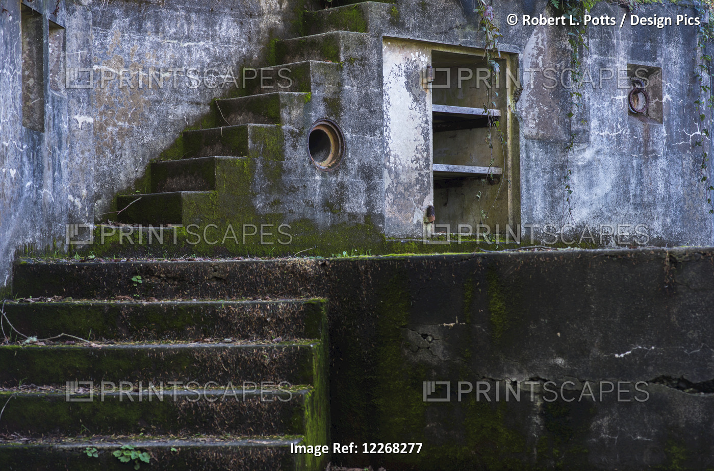 Stairs At Fort Canby; Ilwaco, Washington, United States Of America