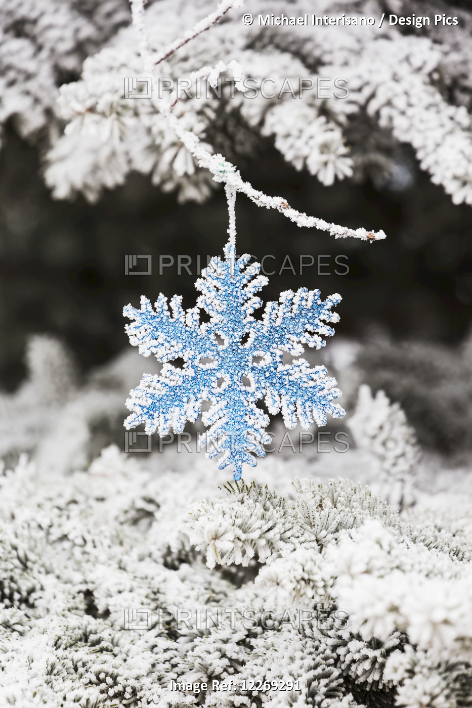 Close Up Of Frosted Covered Christmas Ornament Hanging On Frosted Covered ...