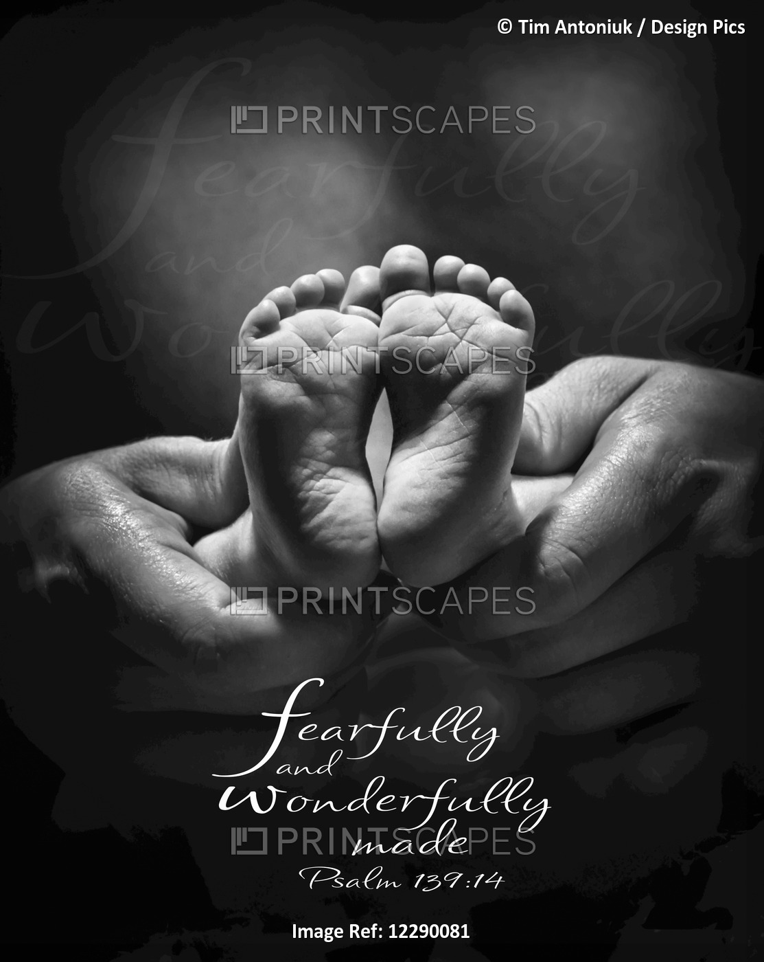 Image Of A Parents Hands Holding Newborn Baby Bare Feet And A Scripture From ...