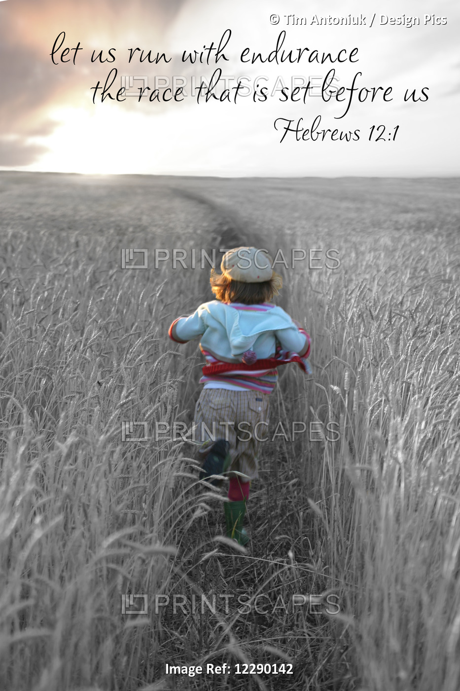 Image Of A Young Girl Running In A Cleared Path Through A Field Of Tall Grass ...