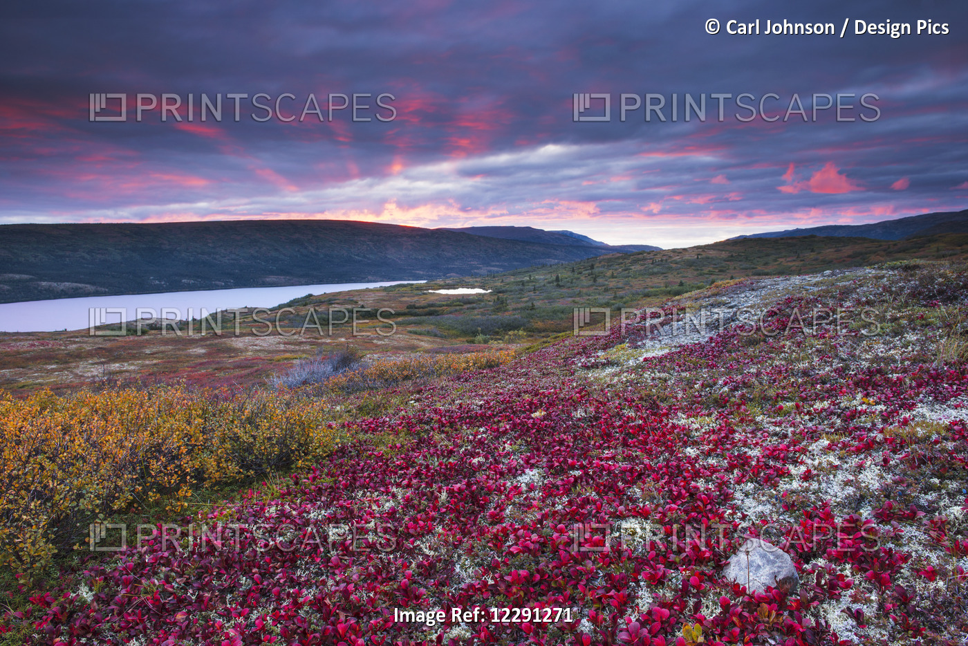 Sunset Over Fall Colors At Wonder Lake, Denali National Park & Preserve, Alaska.