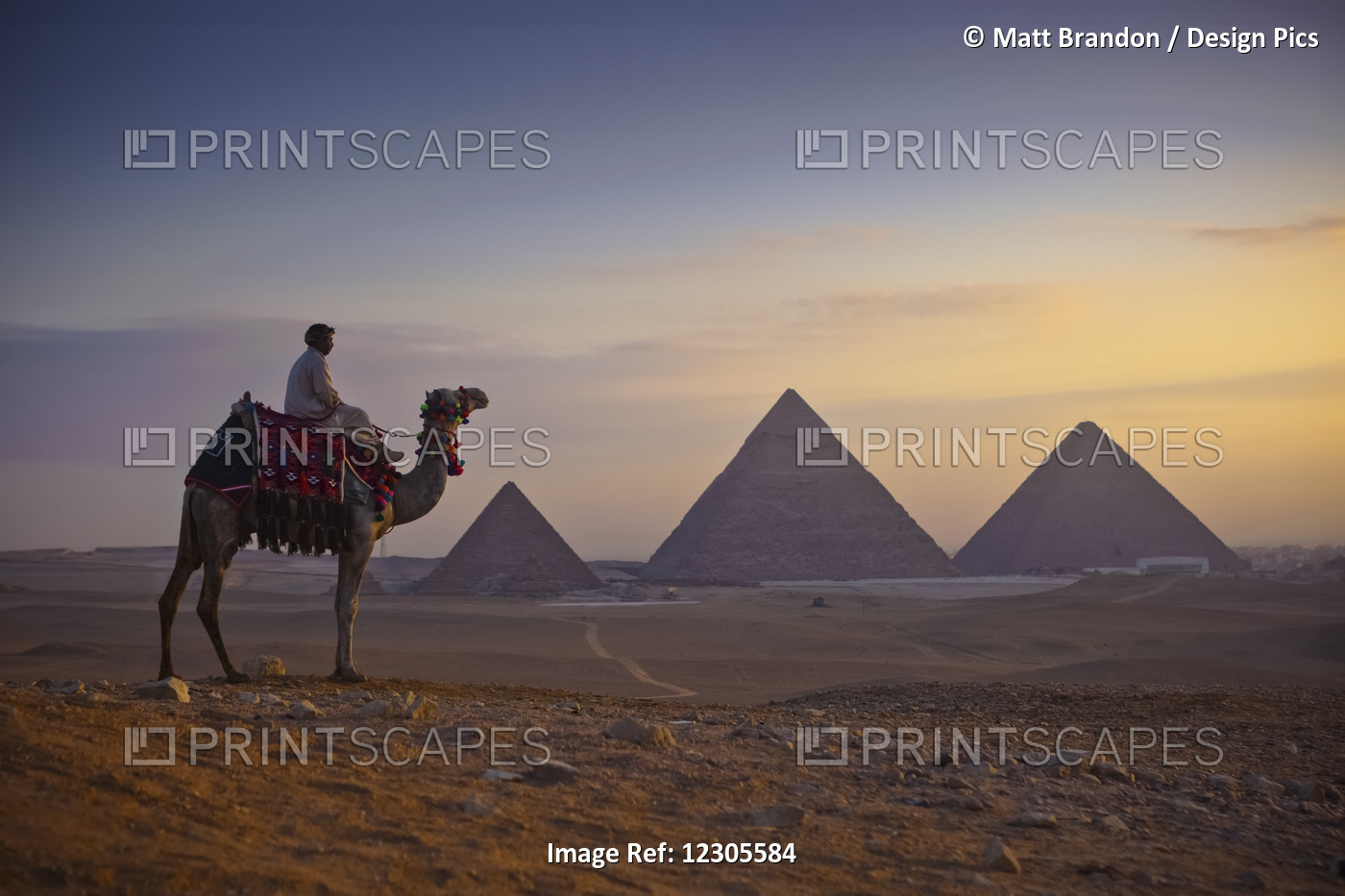 A Lone Camel And Rider Stand In Front Of The Setting Sun With The Great ...