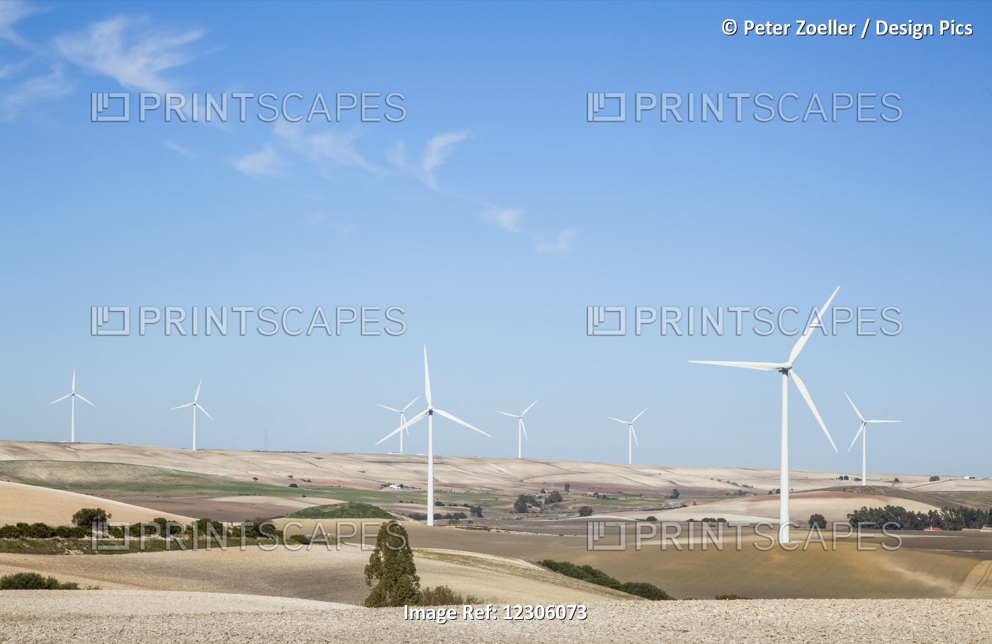 Wind Turbines In Fields With A Blue Sky; Andalusia, Spain