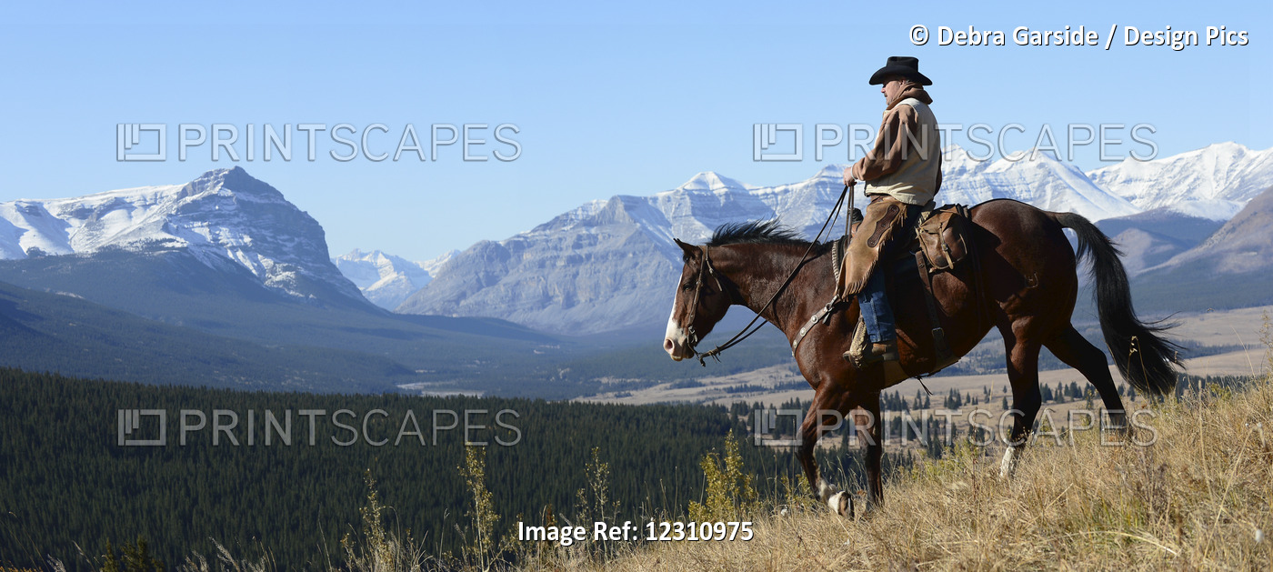 Cowboy Riding With A View Of The Rocky Mountains, Ya-Ha-Tinda Ranch, Clearwater ...