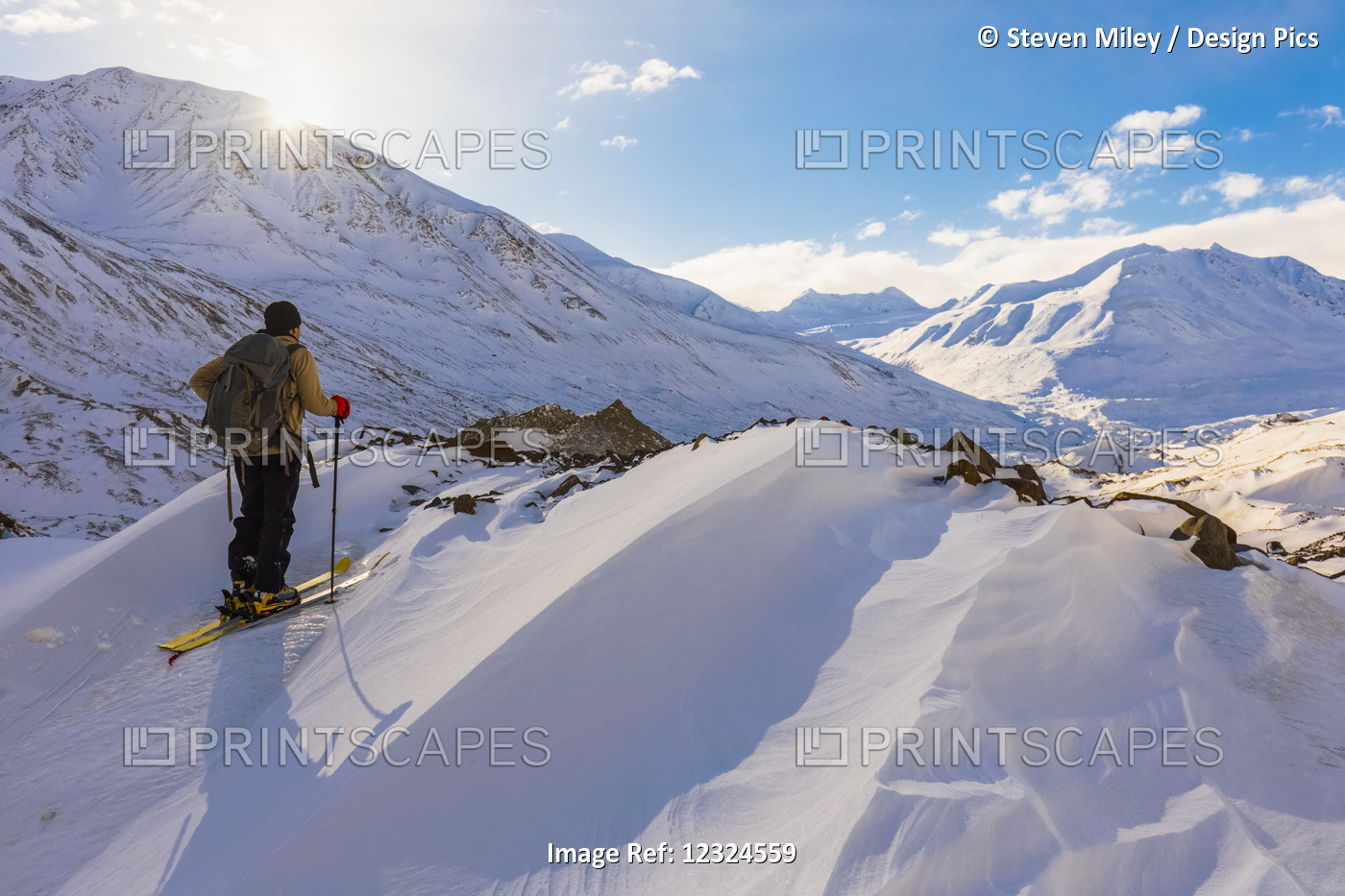 A Backcountry Skier Looks Over The Black Rapids Glacier Valley From A High ...