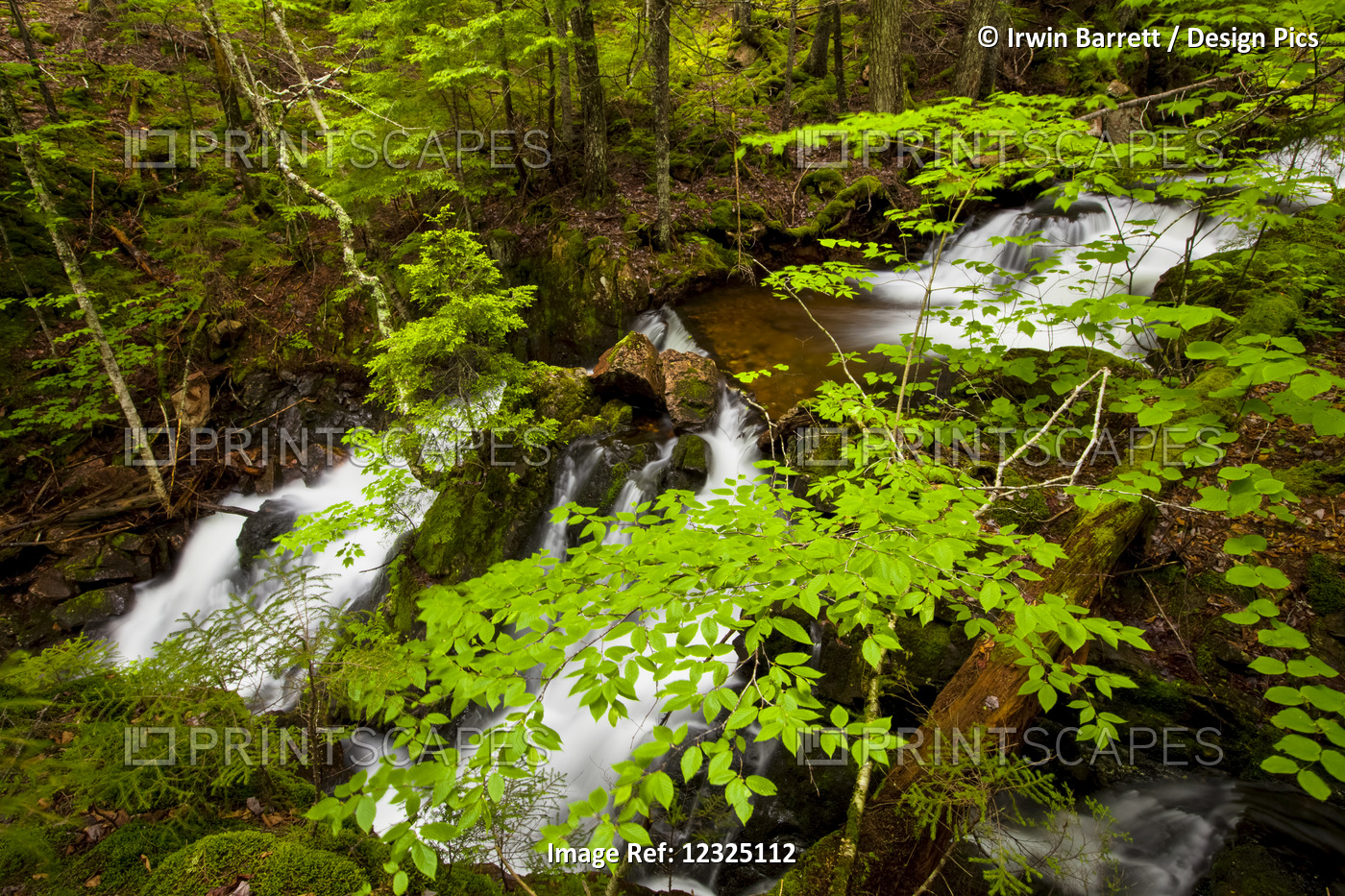 Spring Waterfalls On Horse Pasture Brook; Wentworth Valley, Nova Scotia, Canada