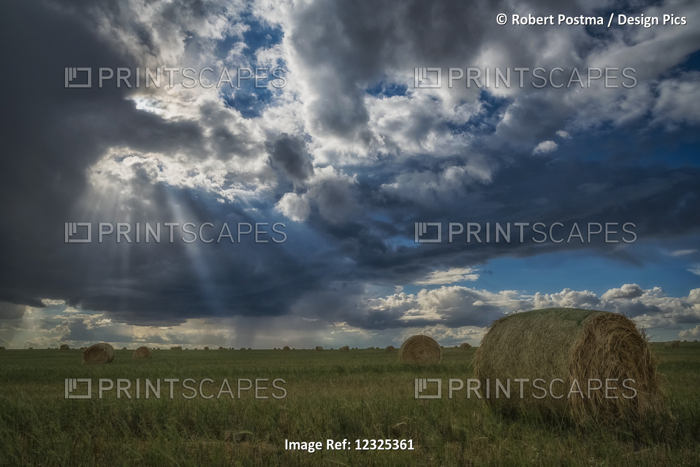 Sunlight Breaks Through The Storm Clouds Over A Field Of Hay Bales; ...