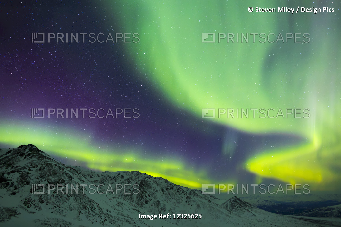 Aurora Borealis Swirls Over Mountains Within Denali National Park On A Very ...