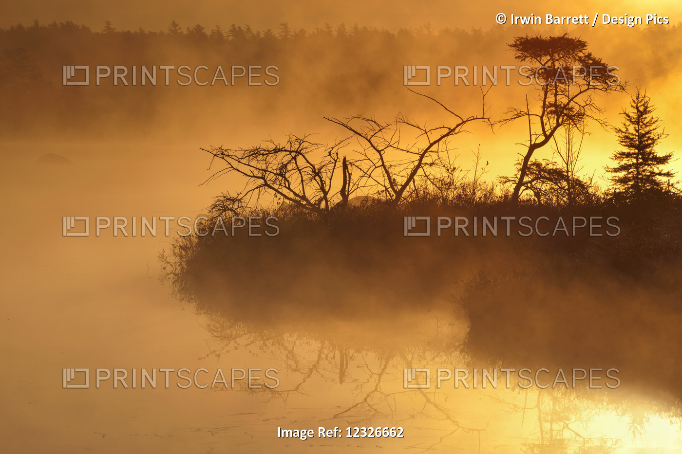 Autumn Morning Mist Glowing Yellow On Rocky Lake; Bedford, Nova Scotia, Canada