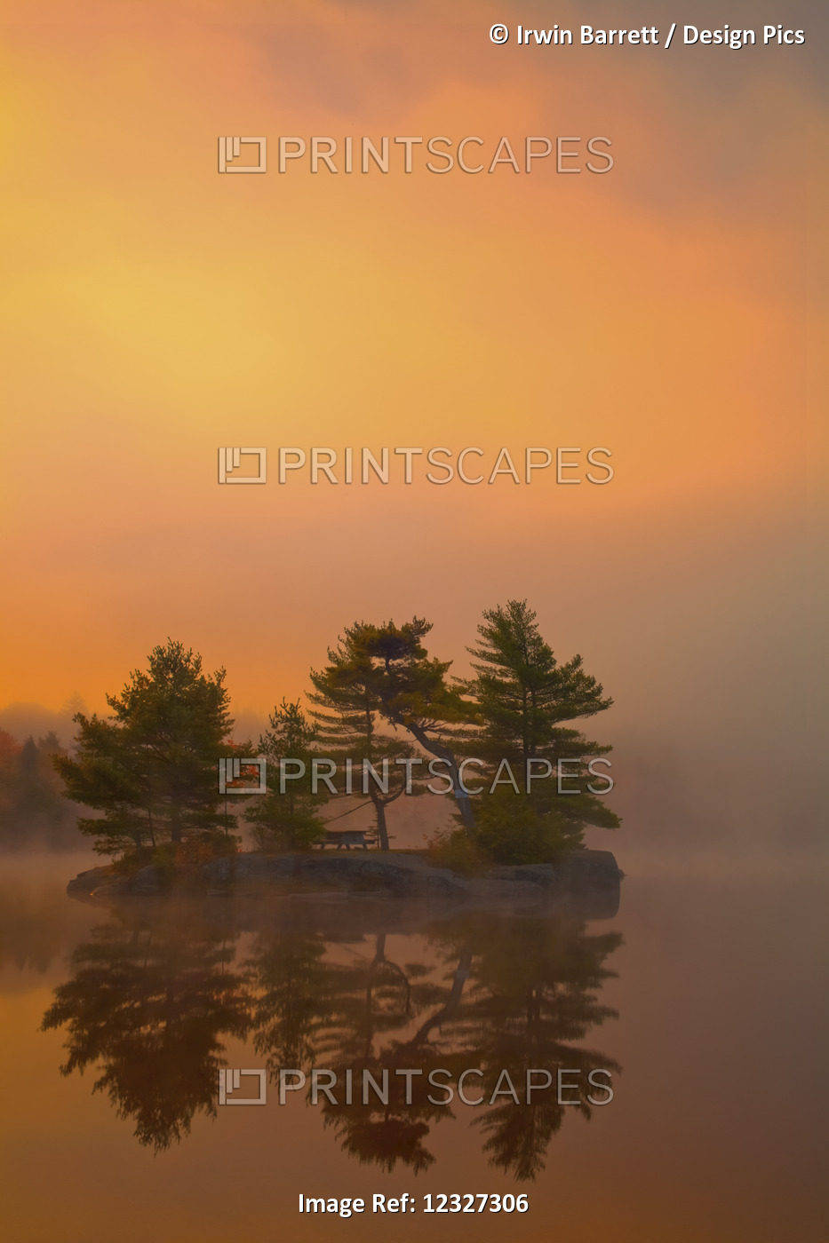 Sunrise Colours With Autumn Morning Mists At Dollar Lake, Dollar Lake ...