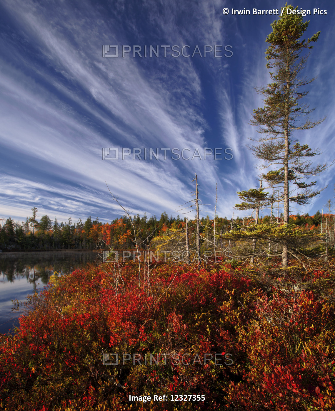 Autumn Coloured Foliage At Jacks Lake; Bedford, Nova Scotia, Canada