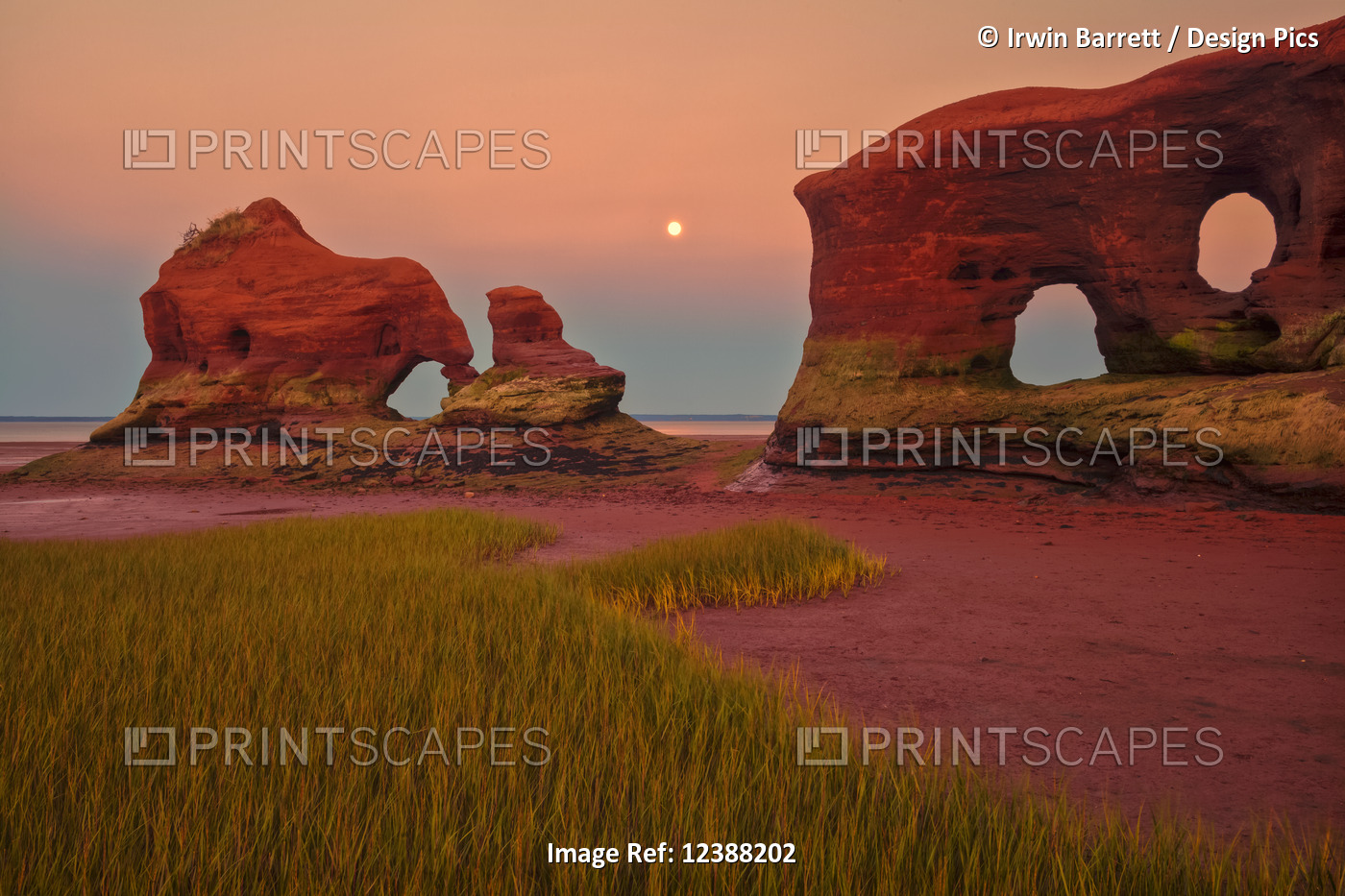 Coastal sea stacks, marsh grass and a full moon at twilight during low tide ...