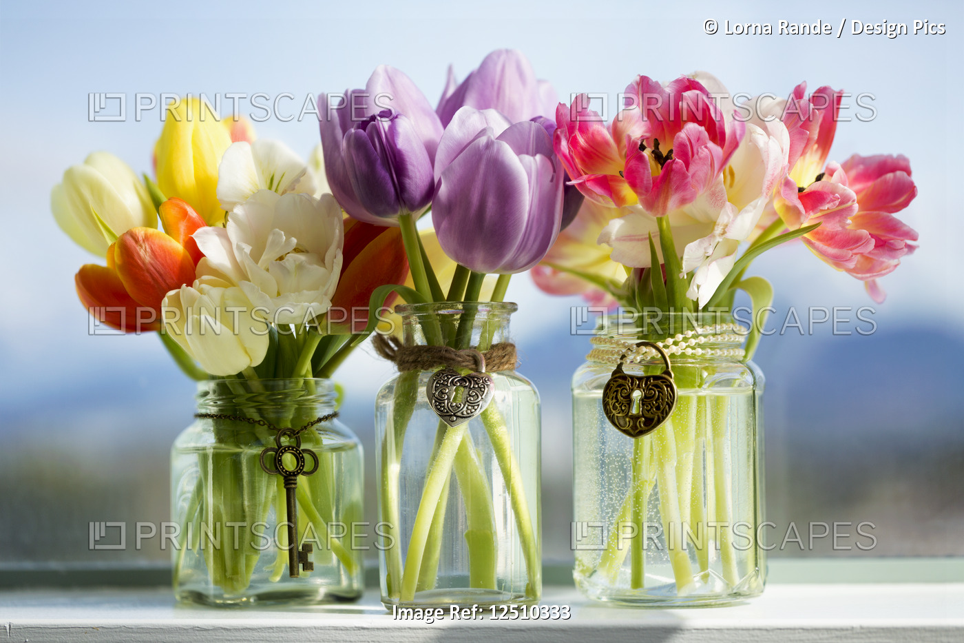 Various coloured tulips in glass vases with decorative pendants on the window ...