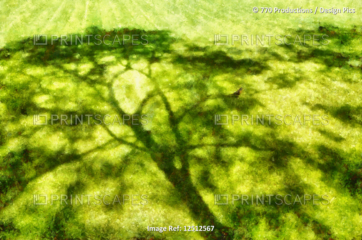 Digital painting of tree shadows on lush, green grass