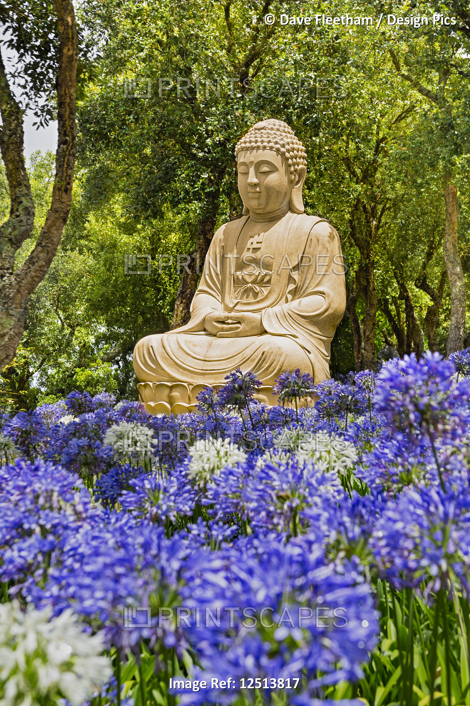 One of the many statues of Buddha in the Buddha Eden Garden, consisting of 35 ...