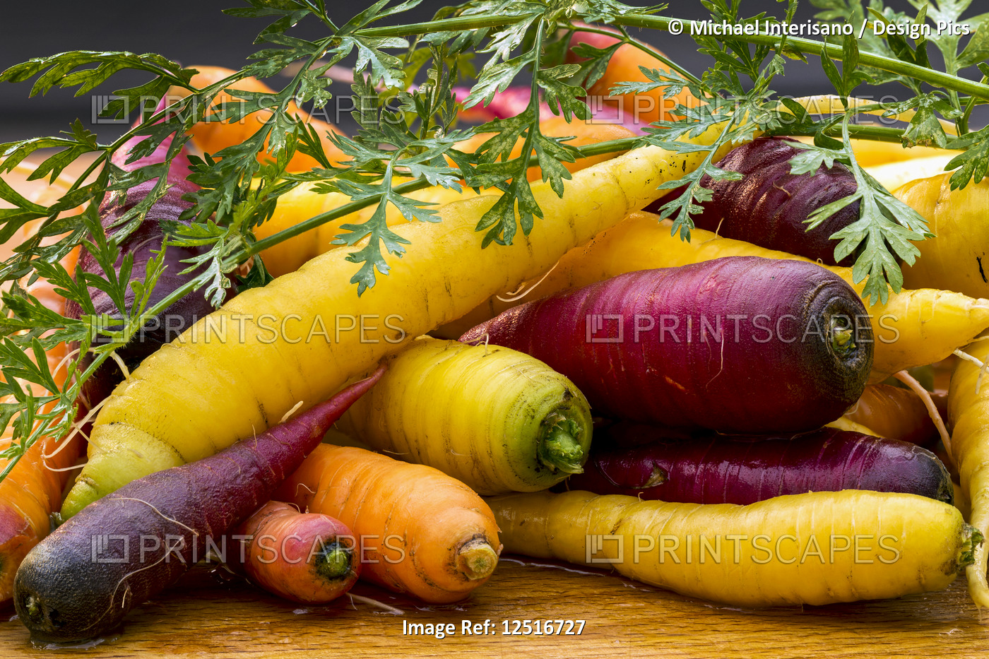 Variety of coloured fresh carrots laying on a wooden surface