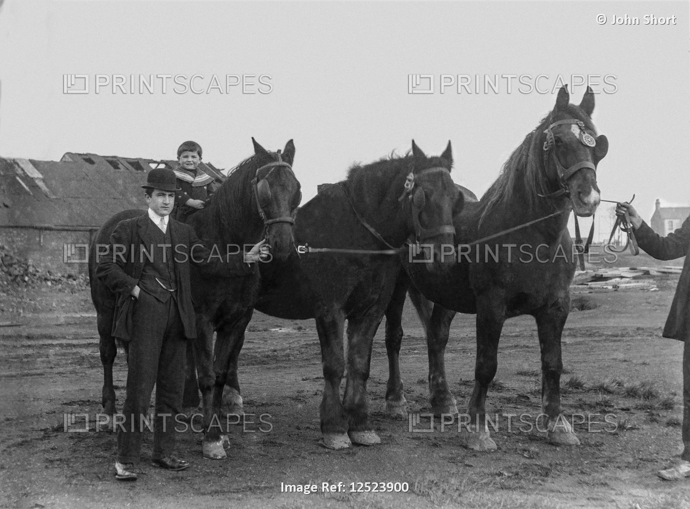 Glass Negative circa 1900.Victorian.Social History.A small boy of a horse with ...