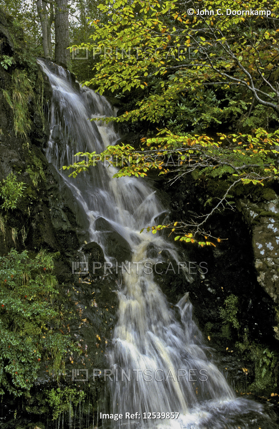 WATERFALL WITH A TINGE OF AUTUMN IN THE TREES