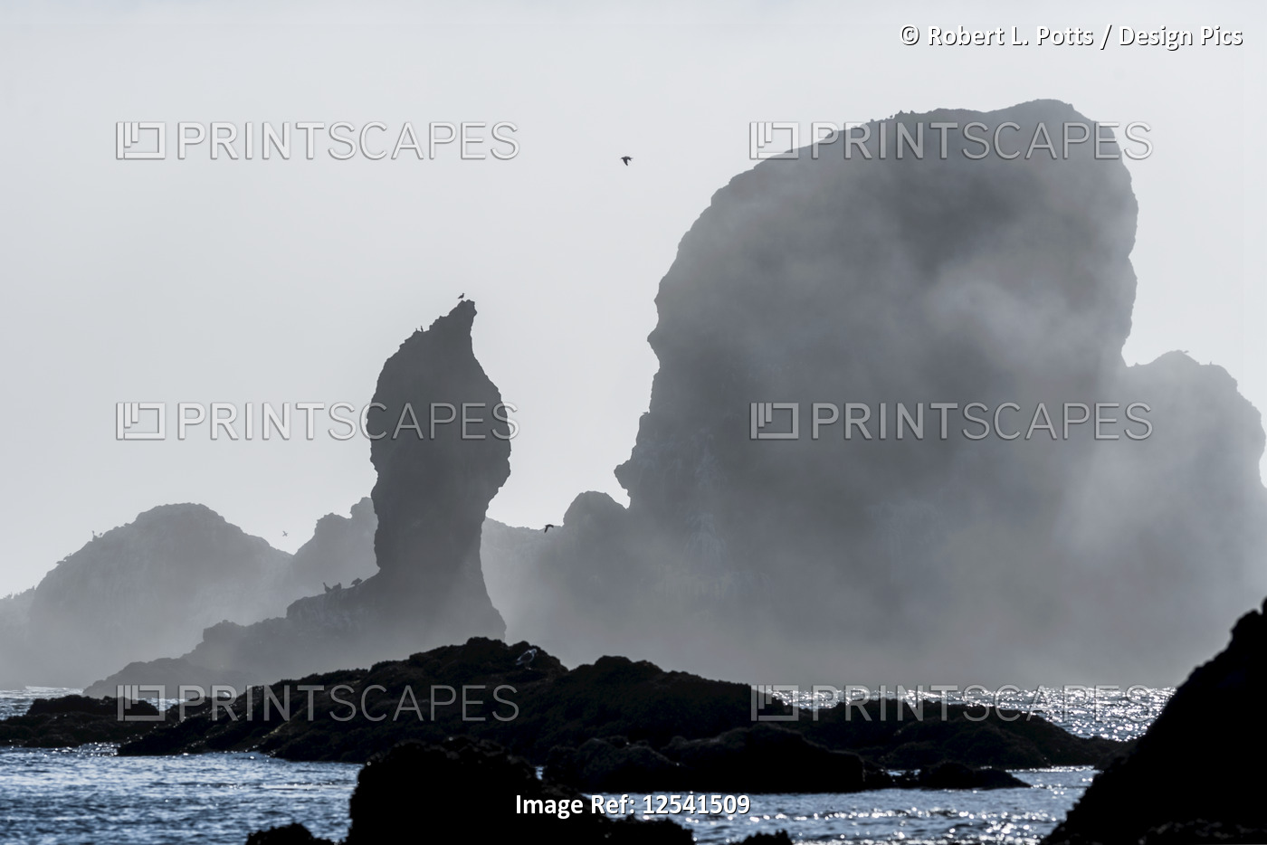 Sea stacks are silhouetted against fog at Ecola State Park; Cannon Beach, ...