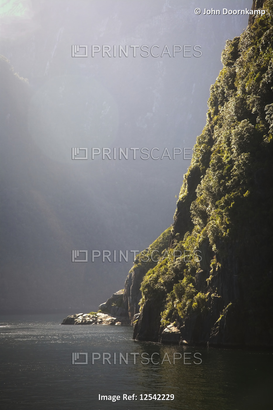 MILFORD SOUND NEW ZEALAND IN MORNING LIGHT