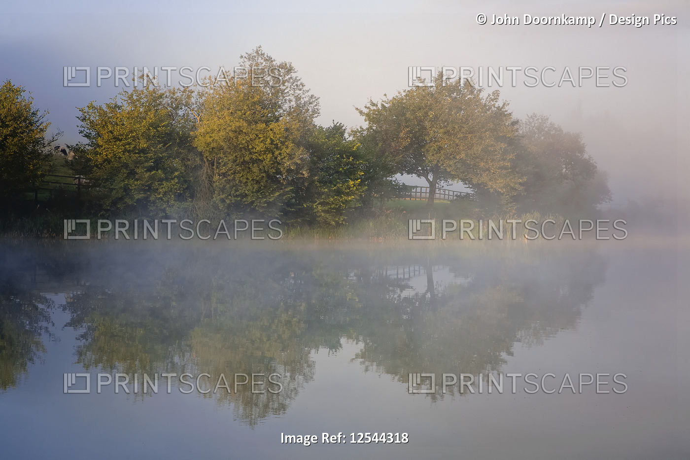 EARLY MORNING MISTS AND REFLECTIONS OVER THE CALM WATERS OF A LAKE, BELGIUM