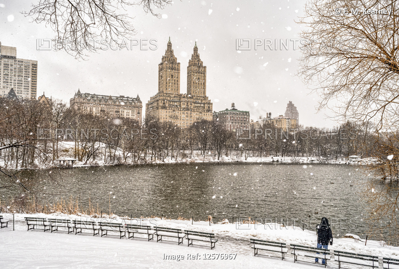 Snowfall by the lake in Central Park; New York City, New York, United States of ...