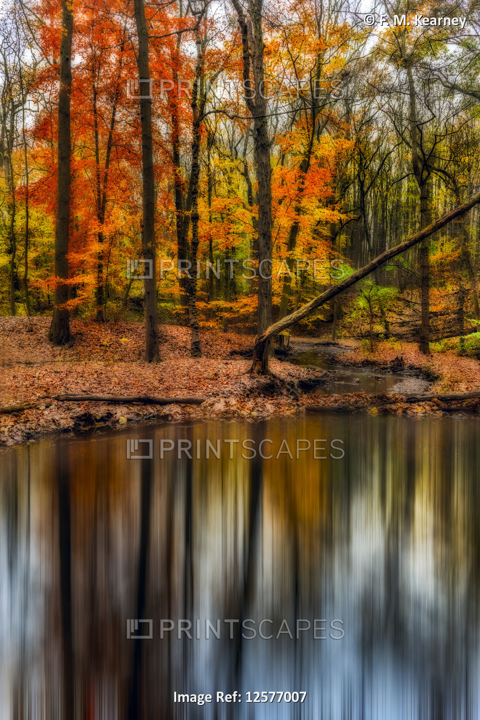 Autumn coloured foliage on Wolfe's Pond, Wolfe's Pond Park, Staten Island; New ...
