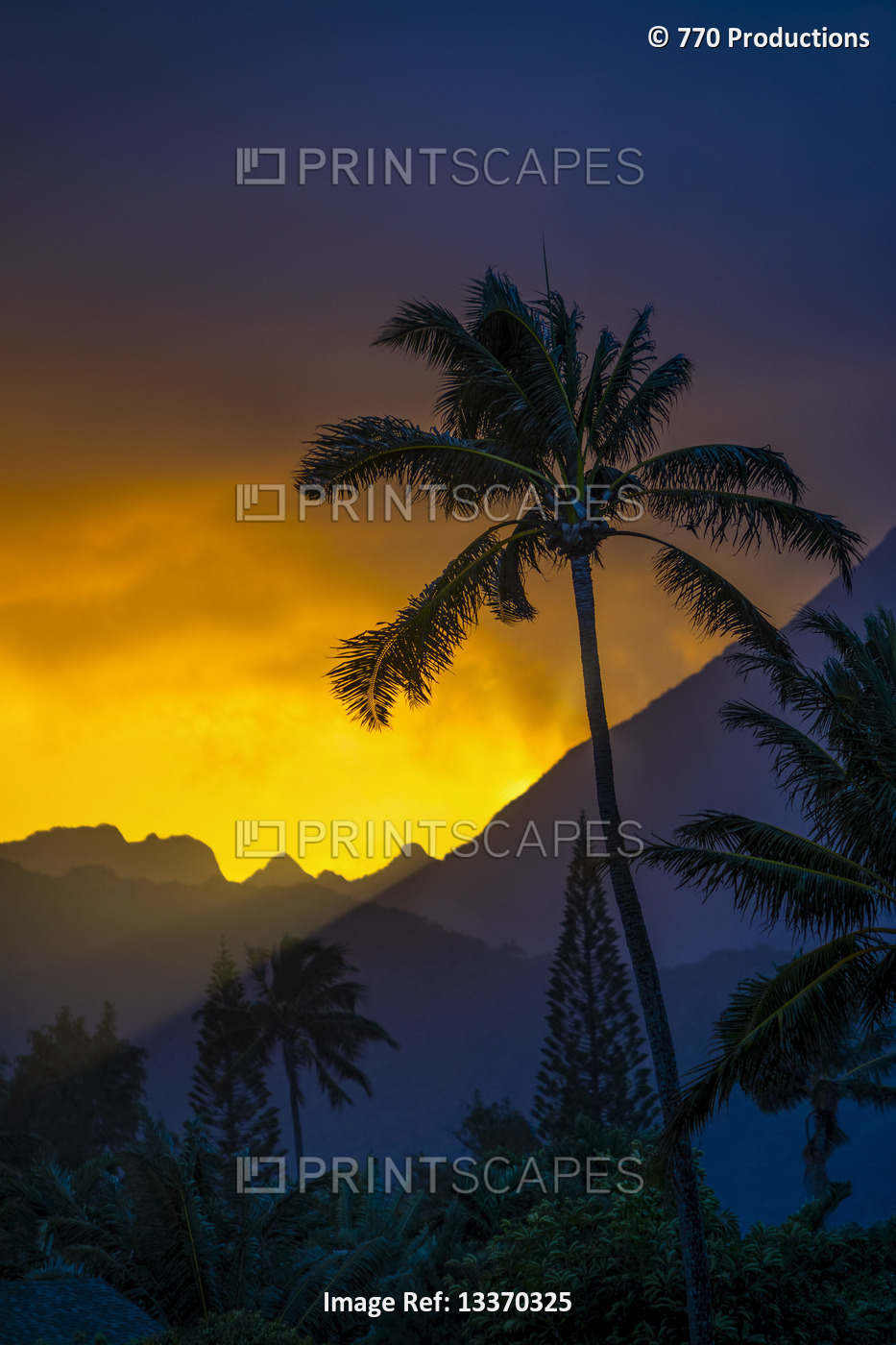 Silhouetted palm tree and peaks of mountains at sunset, Ka'elepulu Canal; Oahu, ...
